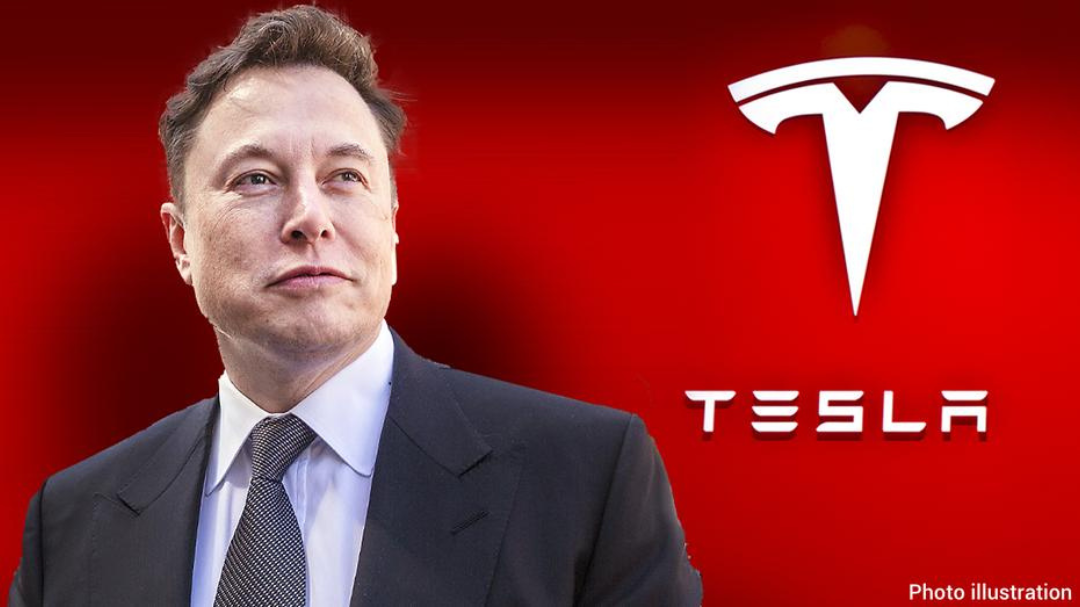 elon musk tesla 2024