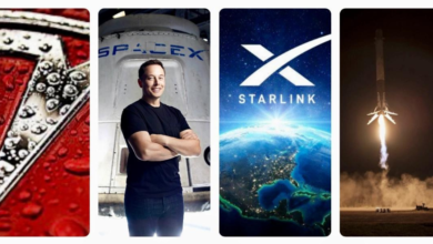 Elon Musk's Net Worth 2024: How Tesla & SpaceX Built His $222 Billion Fortune