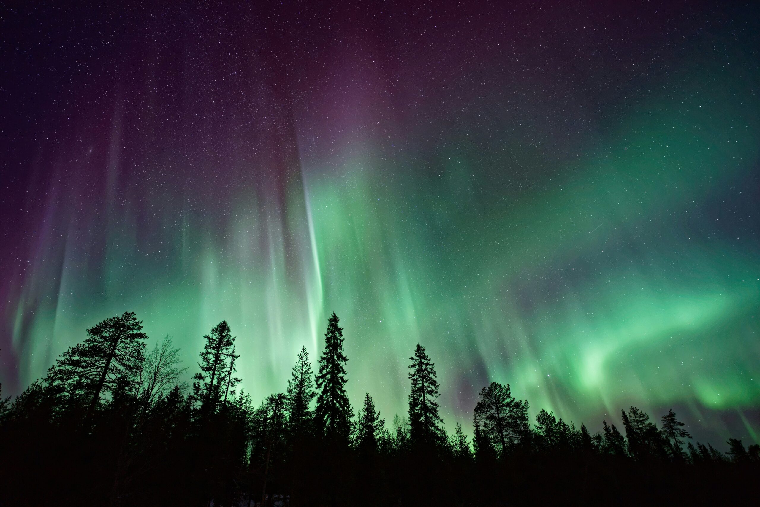 Experience the Magic: Northern Lights and Perseid Meteor Shower Unite for a Spectacular Sky Show